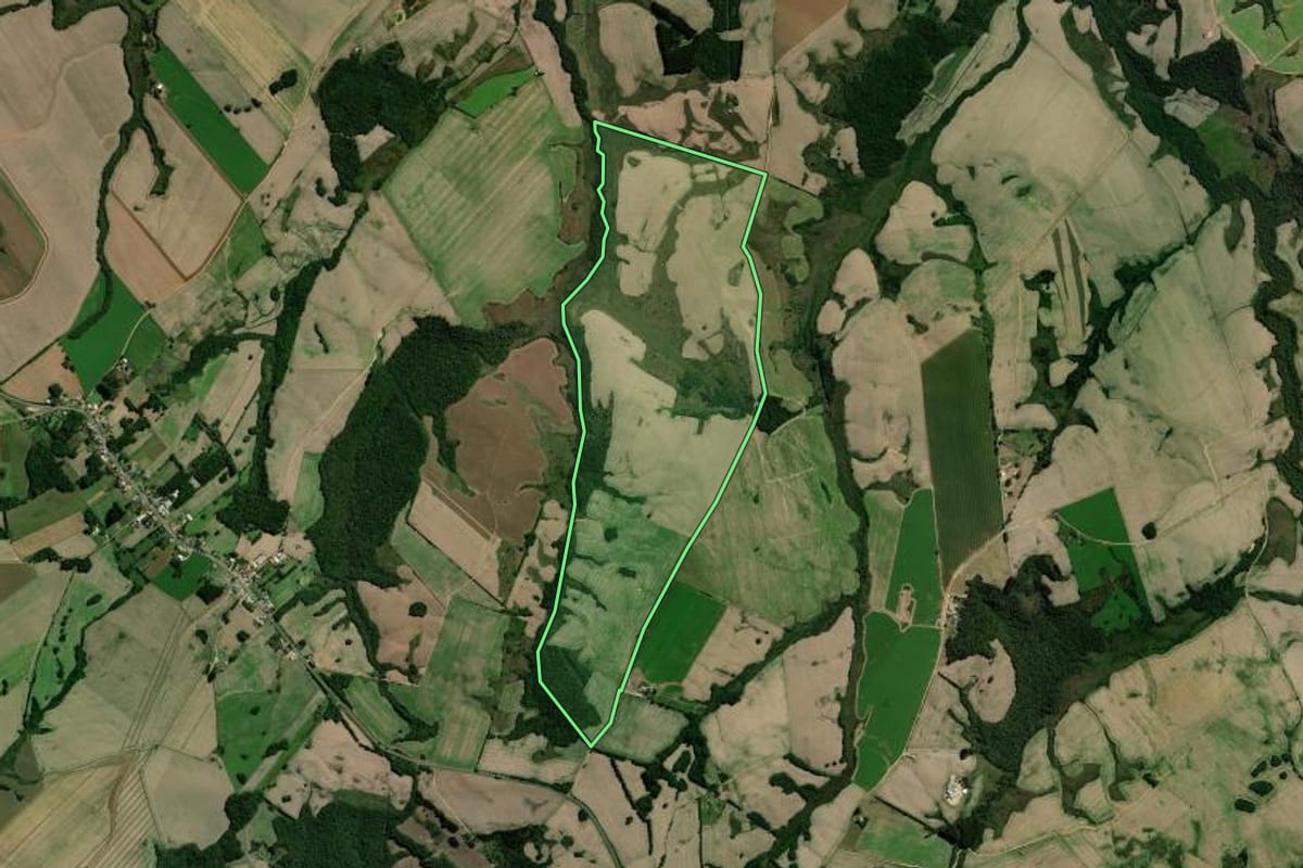 Imagem de satélite do imóvel rural em Palmeira (PR), com o contorno declarado no CAR desenhado por cima.