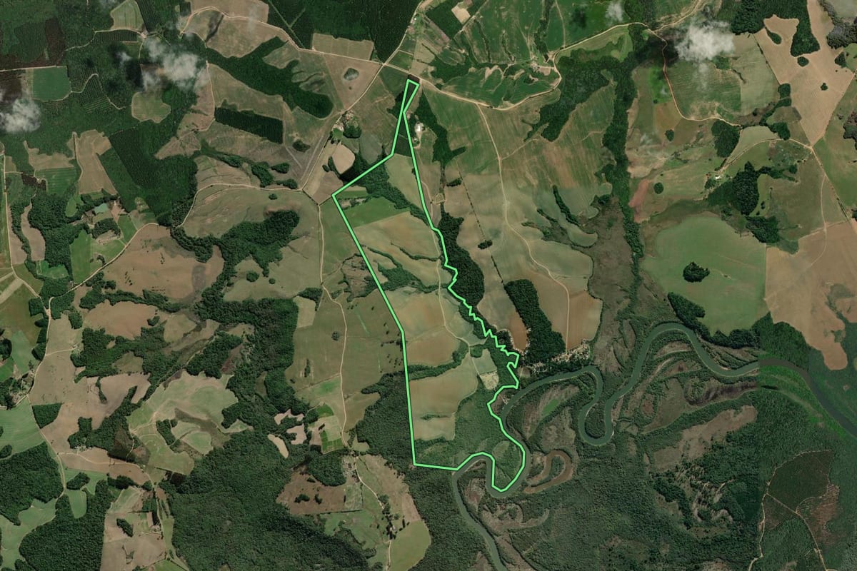 Imagem de satélite do imóvel rural em Palmeira (PR), com o contorno declarado no CAR desenhado por cima.