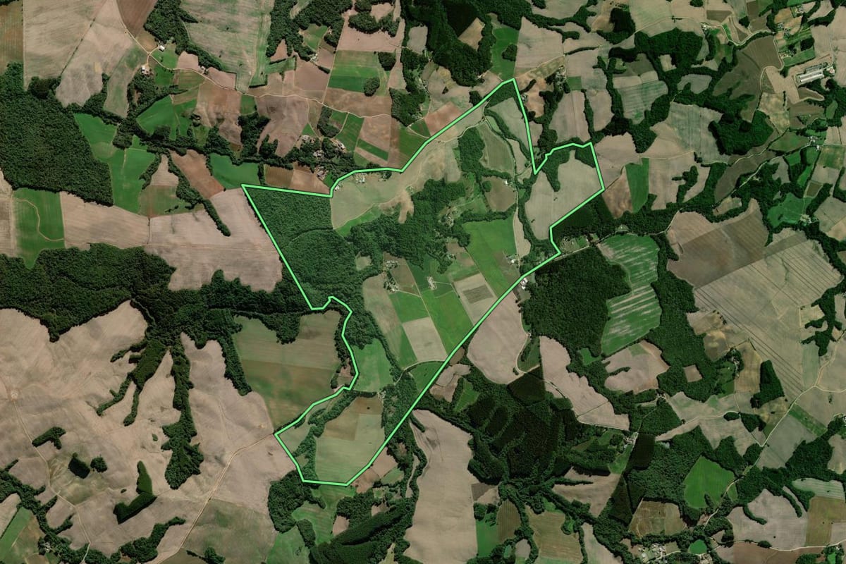 Imagem de satélite do imóvel rural em Palmeira (PR), com o contorno declarado no CAR desenhado por cima.