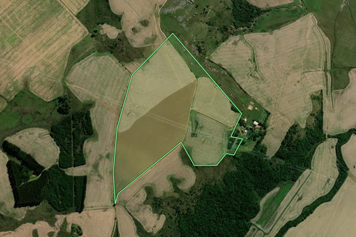 Imagem de satélite do imóvel rural em Palmeira (PR), com o contorno declarado no CAR desenhado por cima.