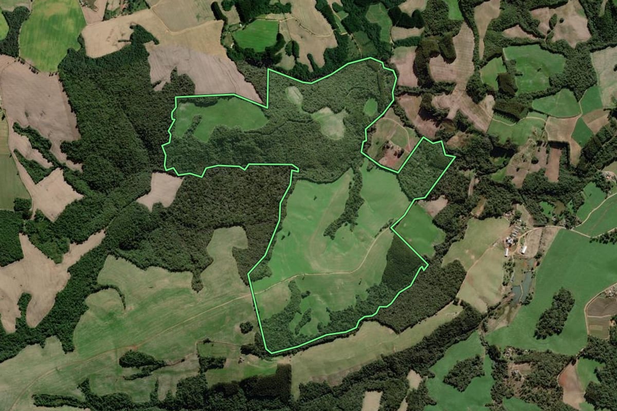 Imagem de satélite do imóvel rural em Palmeira (PR), com o contorno declarado no CAR desenhado por cima.
