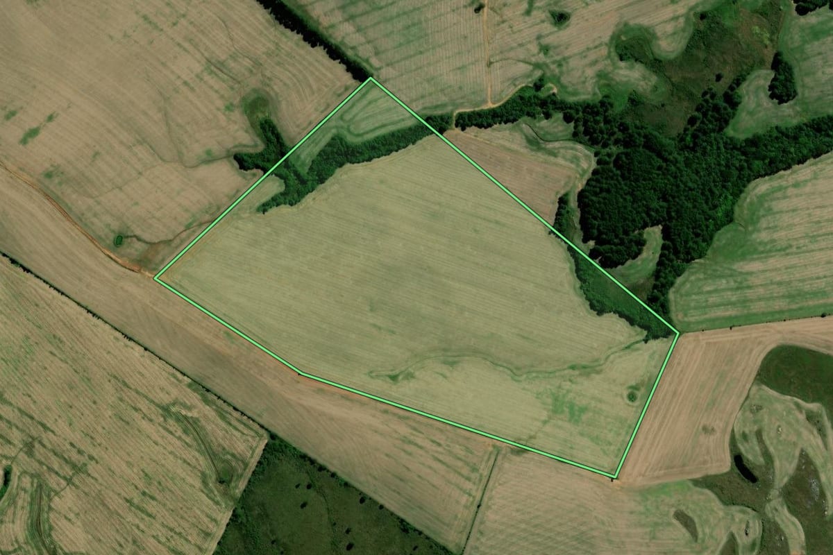 Imagem de satélite do imóvel rural em Palmeira (PR), com o contorno declarado no CAR desenhado por cima.