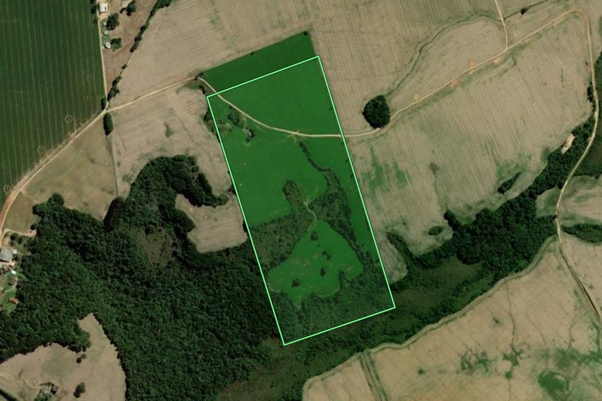 Imagem de satélite do imóvel rural em Palmeira (PR), com o contorno declarado no CAR desenhado por cima.