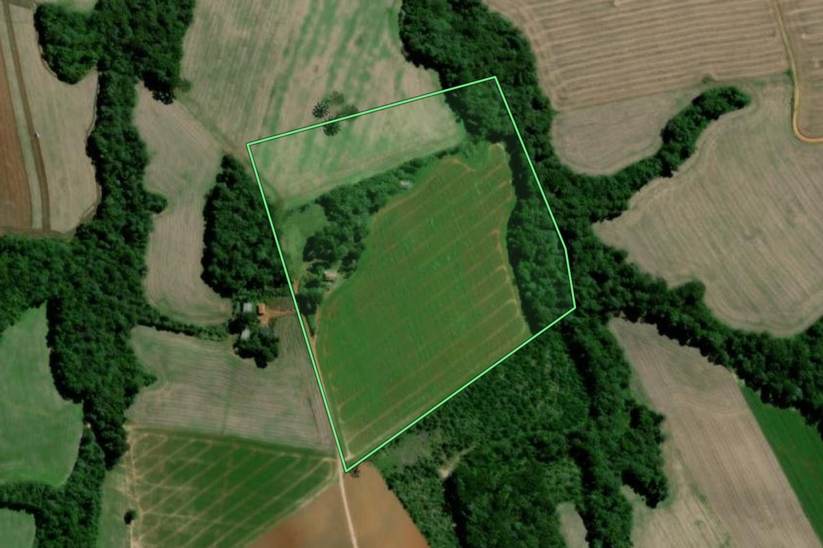 Imagem de satélite do imóvel rural em Palmeira (PR), com o contorno declarado no CAR desenhado por cima.