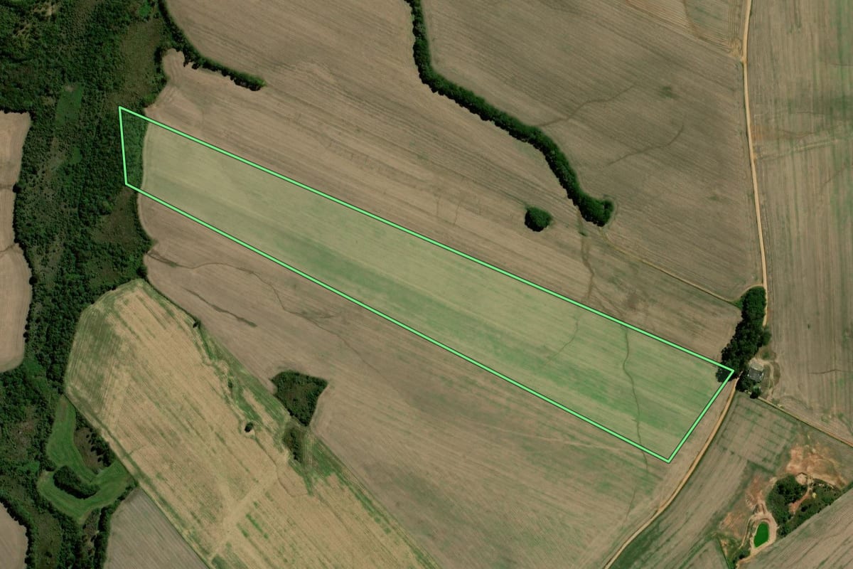 Imagem de satélite do imóvel rural em Palmeira (PR), com o contorno declarado no CAR desenhado por cima.