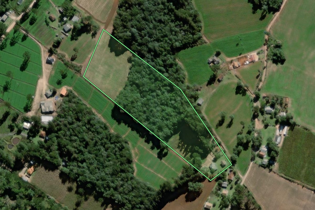 Imagem de satélite do imóvel rural em Palmeira (PR), com o contorno declarado no CAR desenhado por cima.