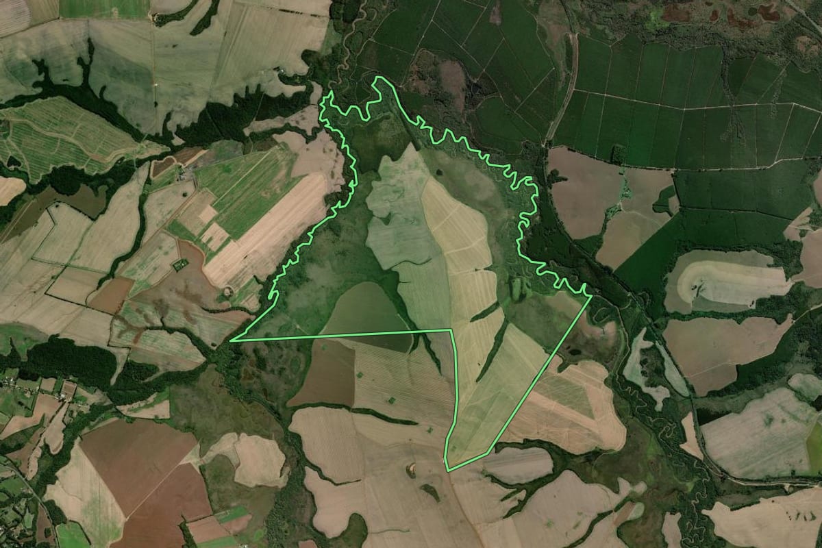 Imagem de satélite do imóvel rural em Palmeira (PR), com o contorno declarado no CAR desenhado por cima.