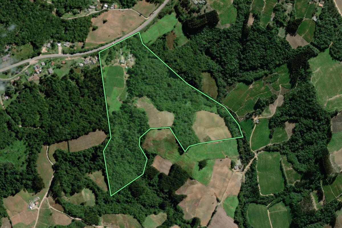 Imagem de satélite do imóvel rural em Palmeira (PR), com o contorno declarado no CAR desenhado por cima.
