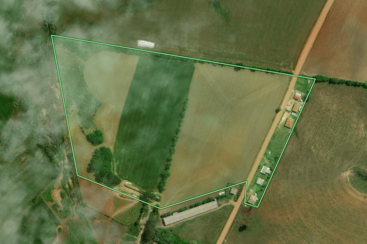 Imagem de satélite do imóvel rural em Palmeira (PR), com o contorno declarado no CAR desenhado por cima.