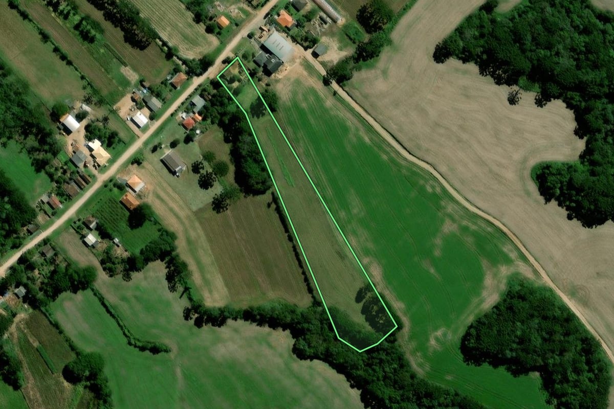 Imagem de satélite do imóvel rural em Palmeira (PR), com o contorno declarado no CAR desenhado por cima.