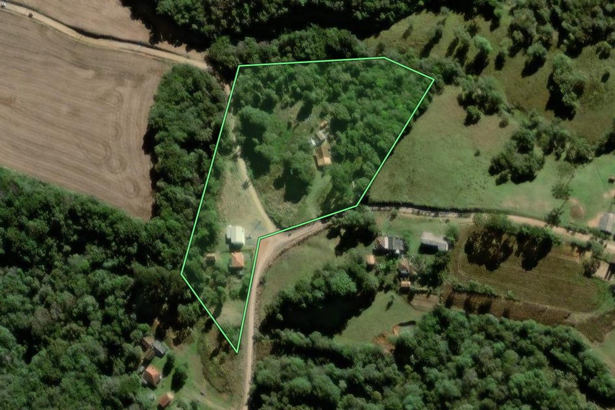 Imagem de satélite do imóvel rural em Palmeira (PR), com o contorno declarado no CAR desenhado por cima.
