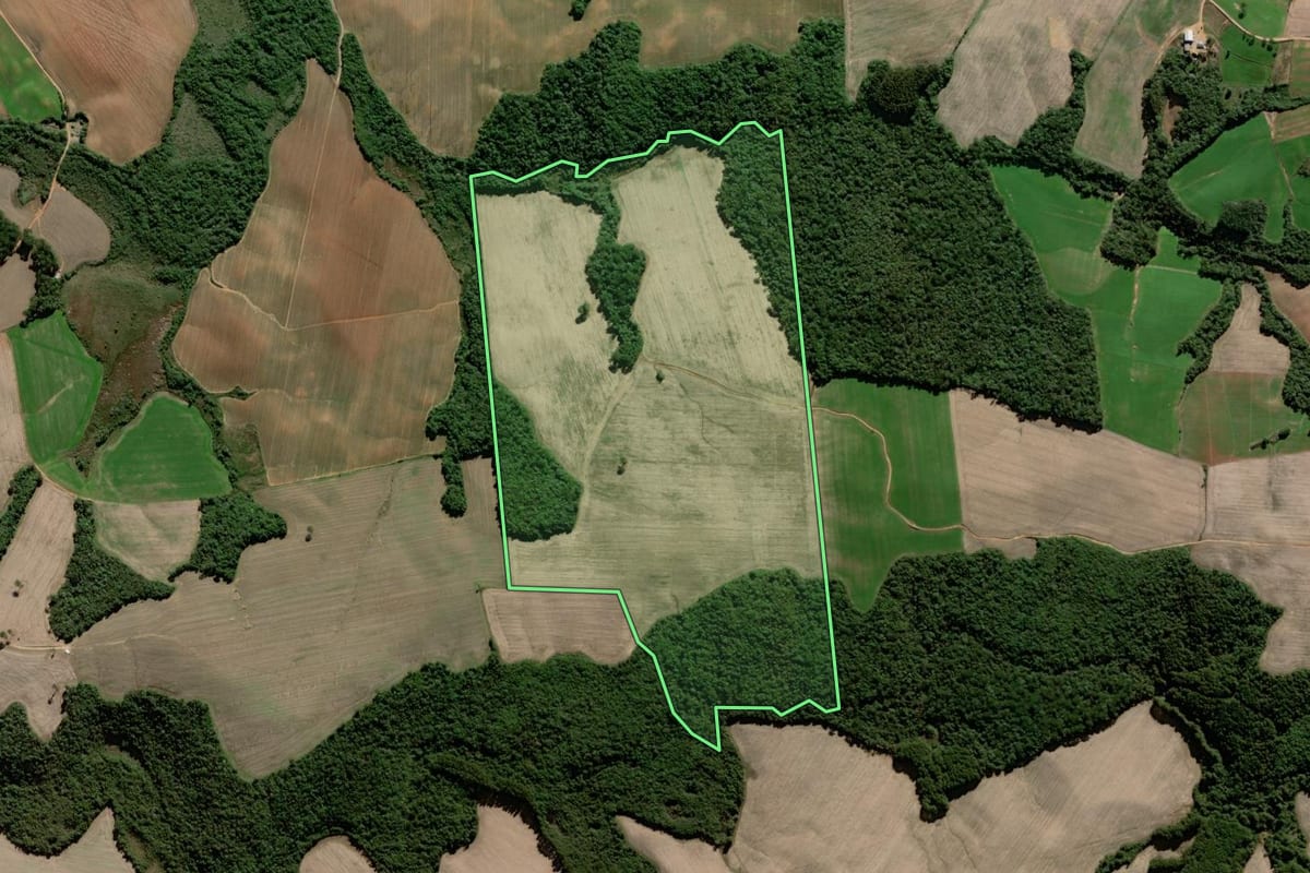 Imagem de satélite do imóvel rural em Palmeira (PR), com o contorno declarado no CAR desenhado por cima.