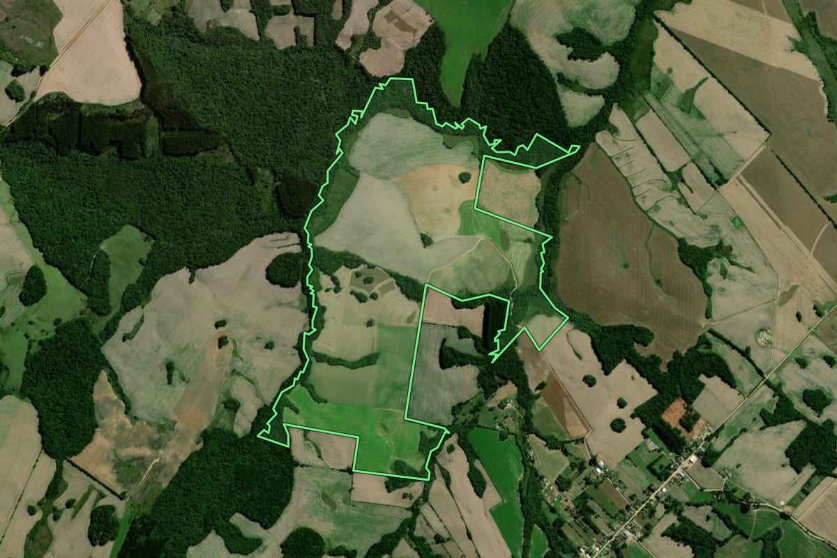 Imagem de satélite do imóvel rural em Palmeira (PR), com o contorno declarado no CAR desenhado por cima.