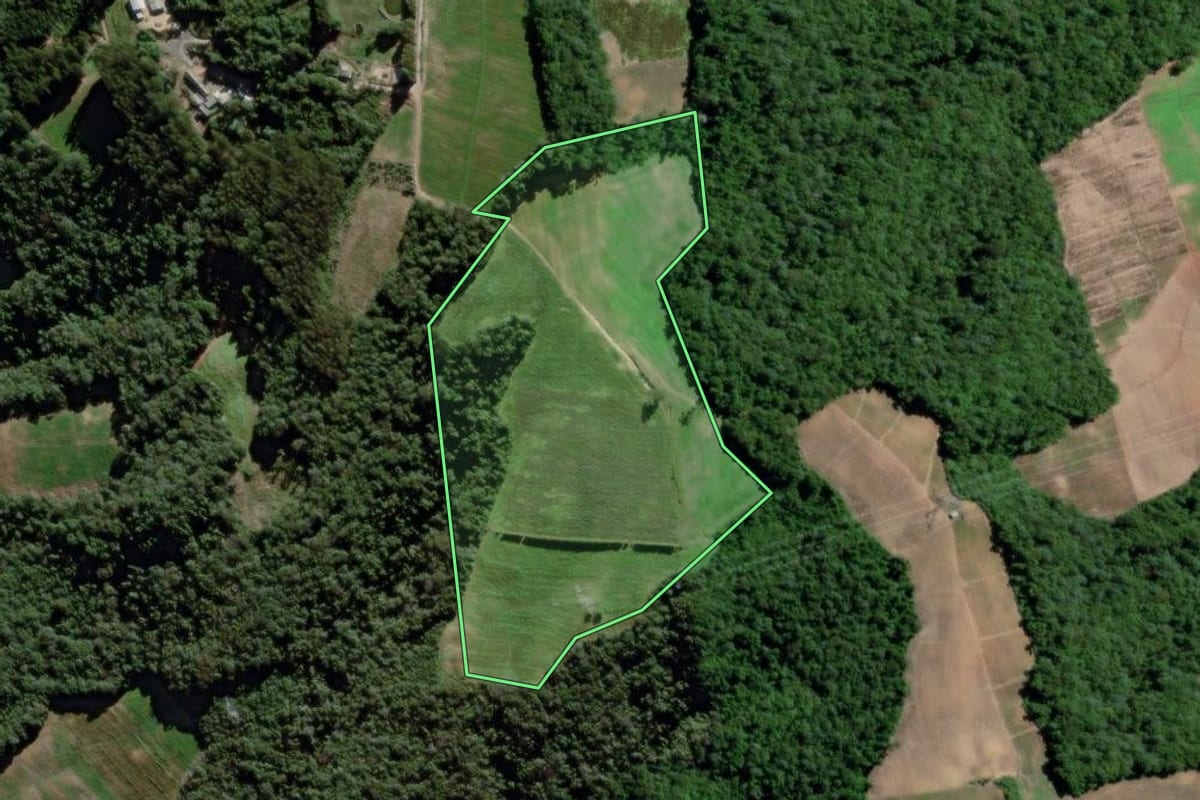 Imagem de satélite do imóvel rural em Palmeira (PR), com o contorno declarado no CAR desenhado por cima.