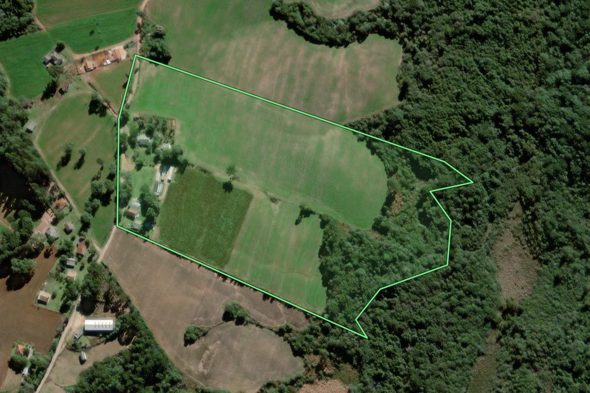 Imagem de satélite do imóvel rural em Palmeira (PR), com o contorno declarado no CAR desenhado por cima.