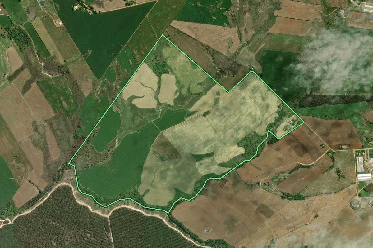 Imagem de satélite do imóvel rural em Palmeira (PR), com o contorno declarado no CAR desenhado por cima.