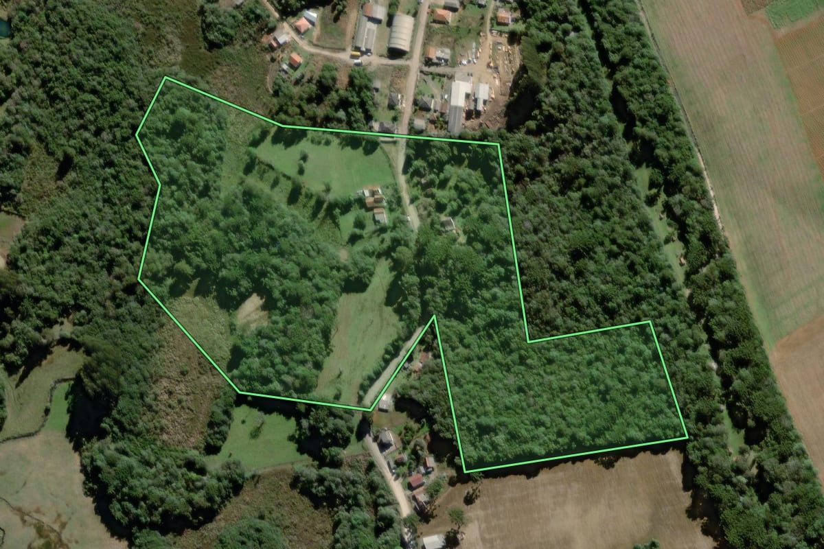 Imagem de satélite do imóvel rural em Palmeira (PR), com o contorno declarado no CAR desenhado por cima.