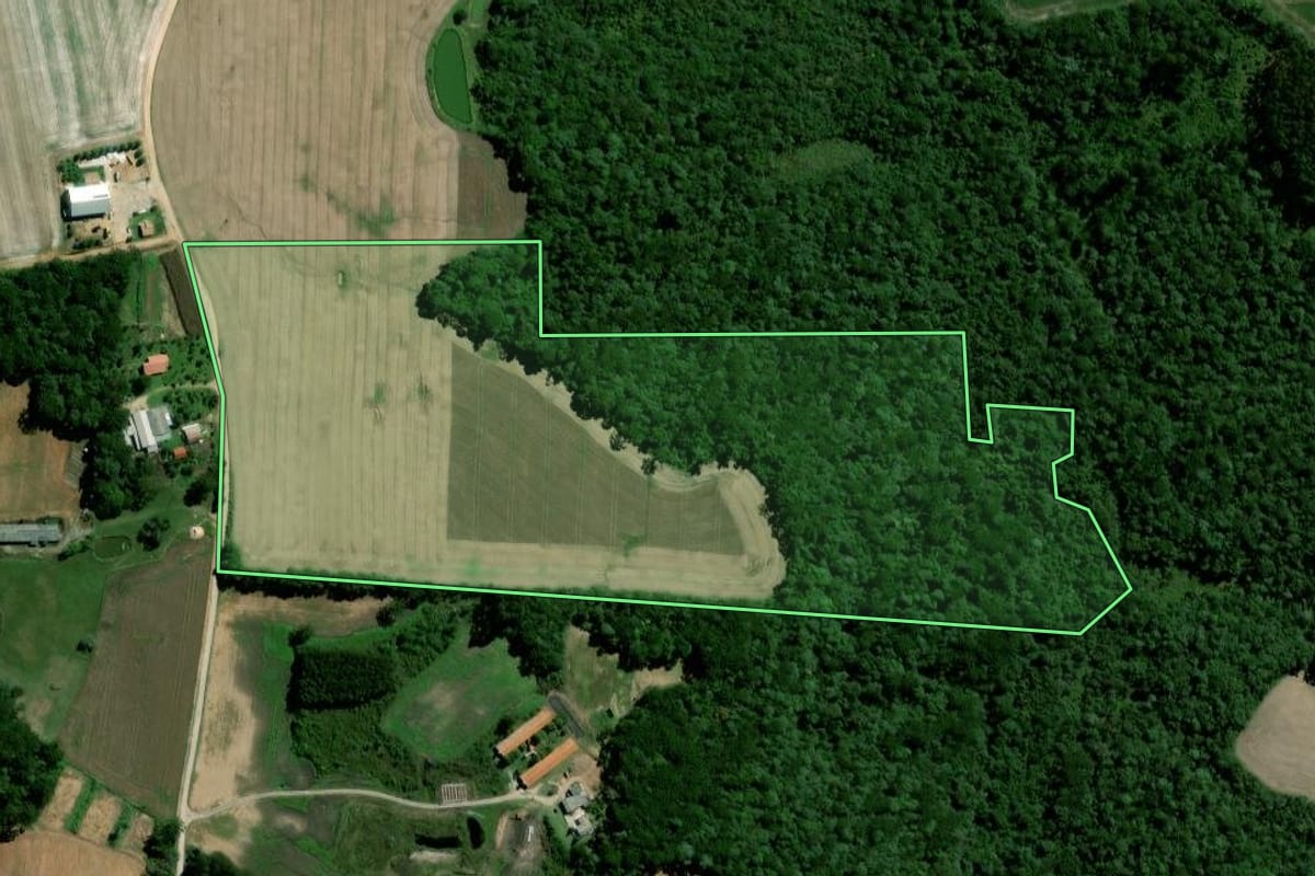 Imagem de satélite do imóvel rural em Palmeira (PR), com o contorno declarado no CAR desenhado por cima.