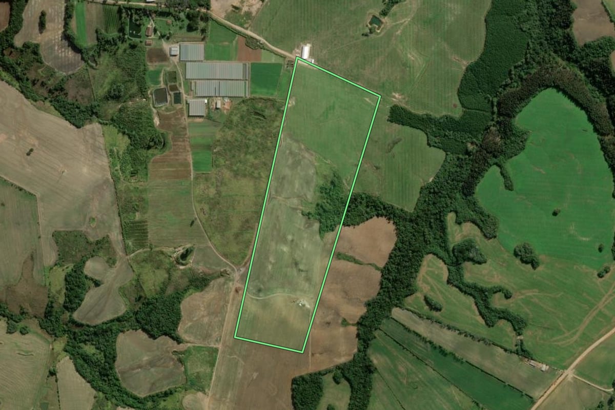 Imagem de satélite do imóvel rural em Palmeira (PR), com o contorno declarado no CAR desenhado por cima.