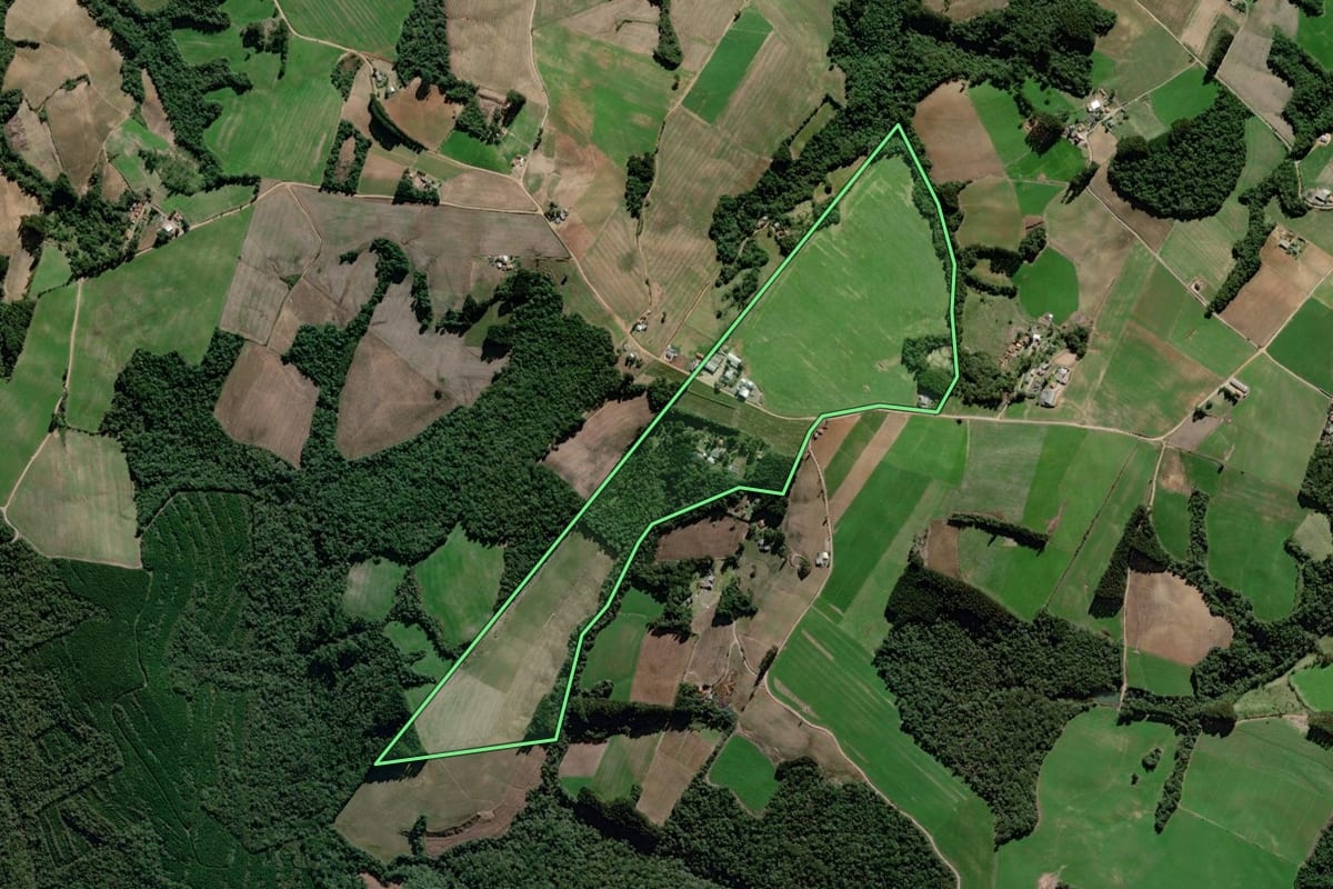 Imagem de satélite do imóvel rural em Palmeira (PR), com o contorno declarado no CAR desenhado por cima.