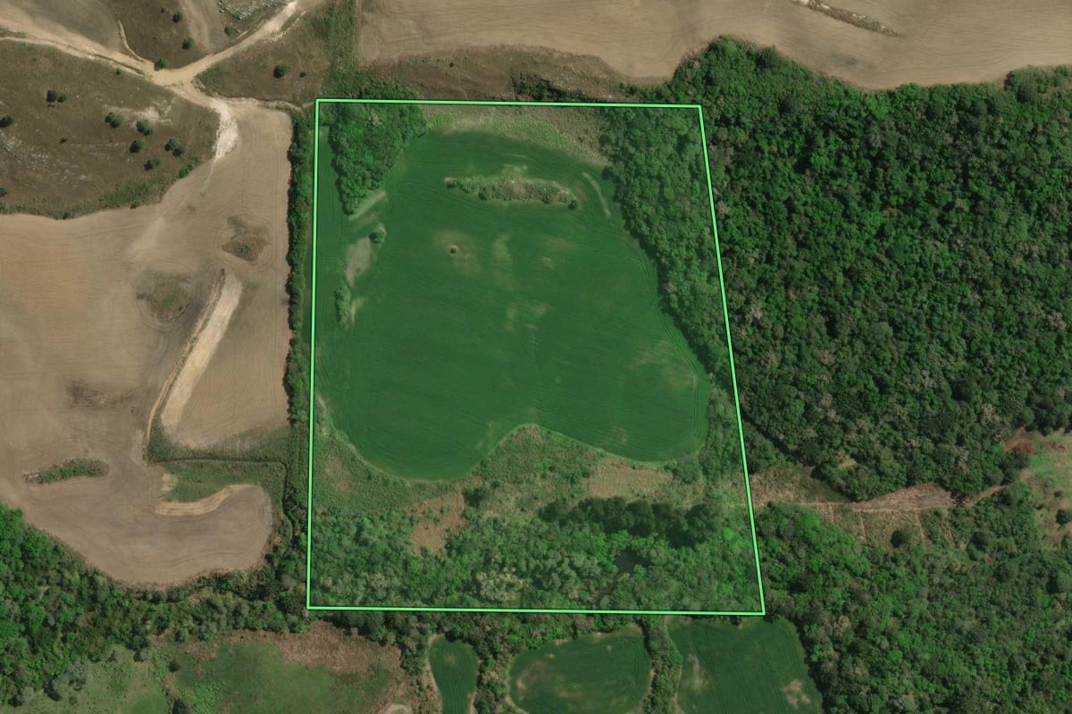 Imagem de satélite do imóvel rural em Palmeira (PR), com o contorno declarado no CAR desenhado por cima.