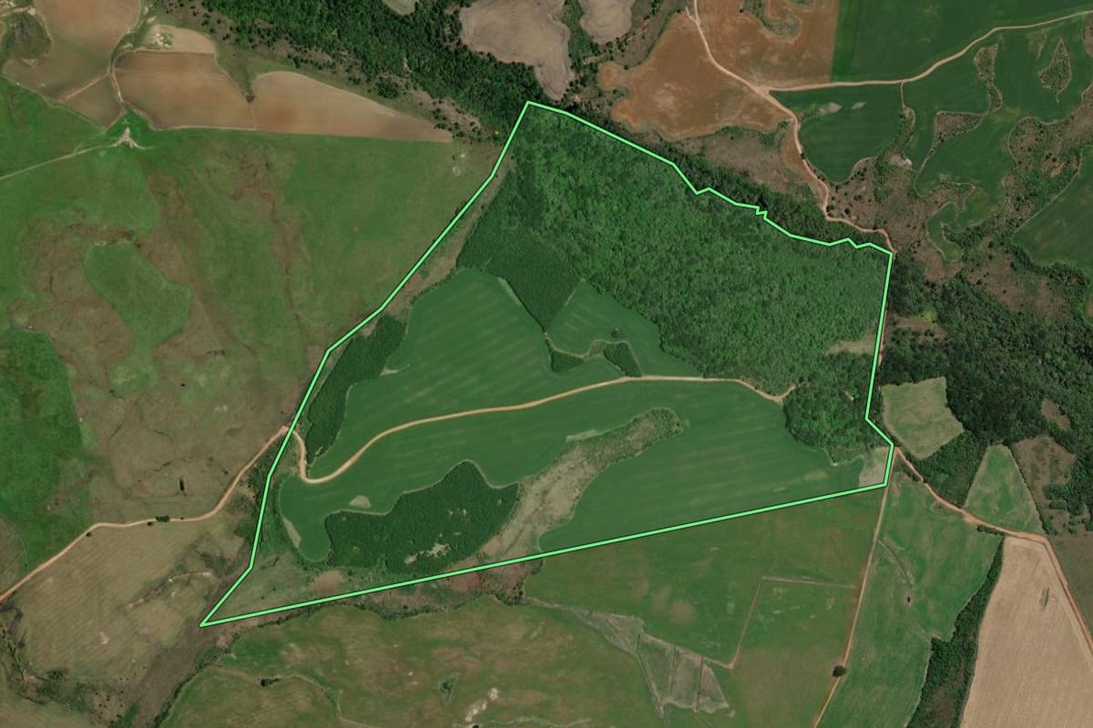 Imagem de satélite do imóvel rural em Palmeira (PR), com o contorno declarado no CAR desenhado por cima.
