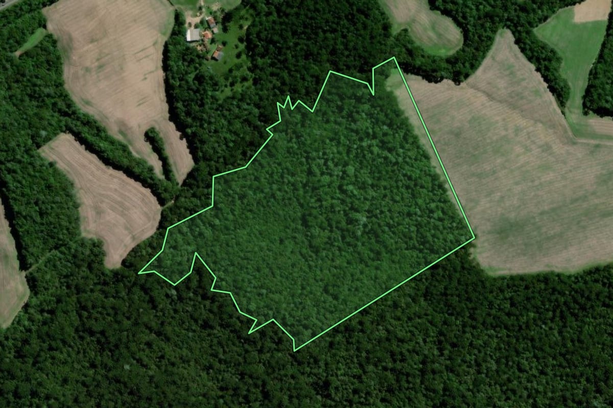 Imagem de satélite do imóvel rural em Palmeira (PR), com o contorno declarado no CAR desenhado por cima.