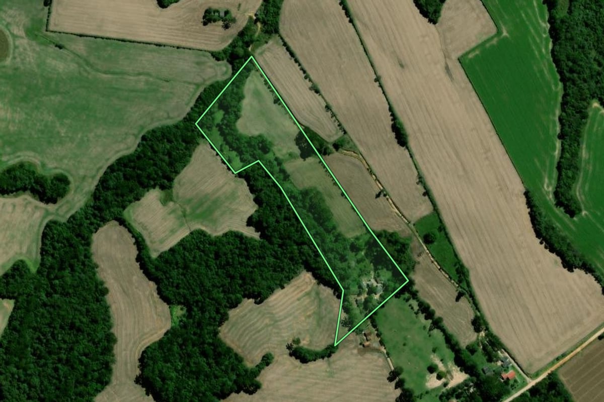 Imagem de satélite do imóvel rural em Palmeira (PR), com o contorno declarado no CAR desenhado por cima.