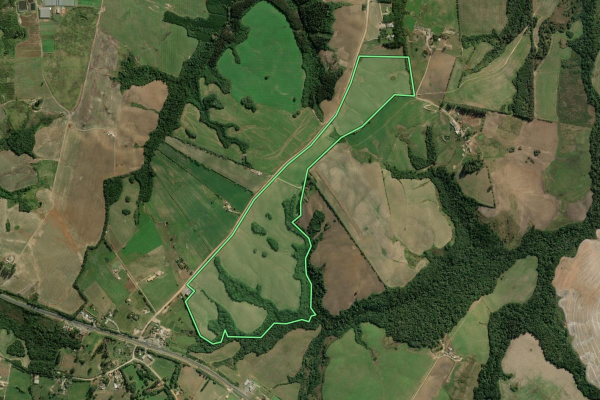 Imagem de satélite do imóvel rural em Palmeira (PR), com o contorno declarado no CAR desenhado por cima.