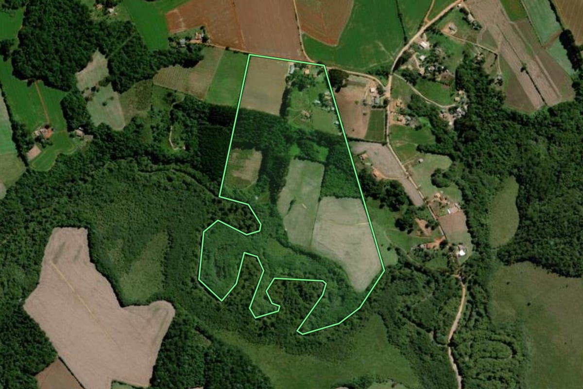 Imagem de satélite do imóvel rural em Palmeira (PR), com o contorno declarado no CAR desenhado por cima.
