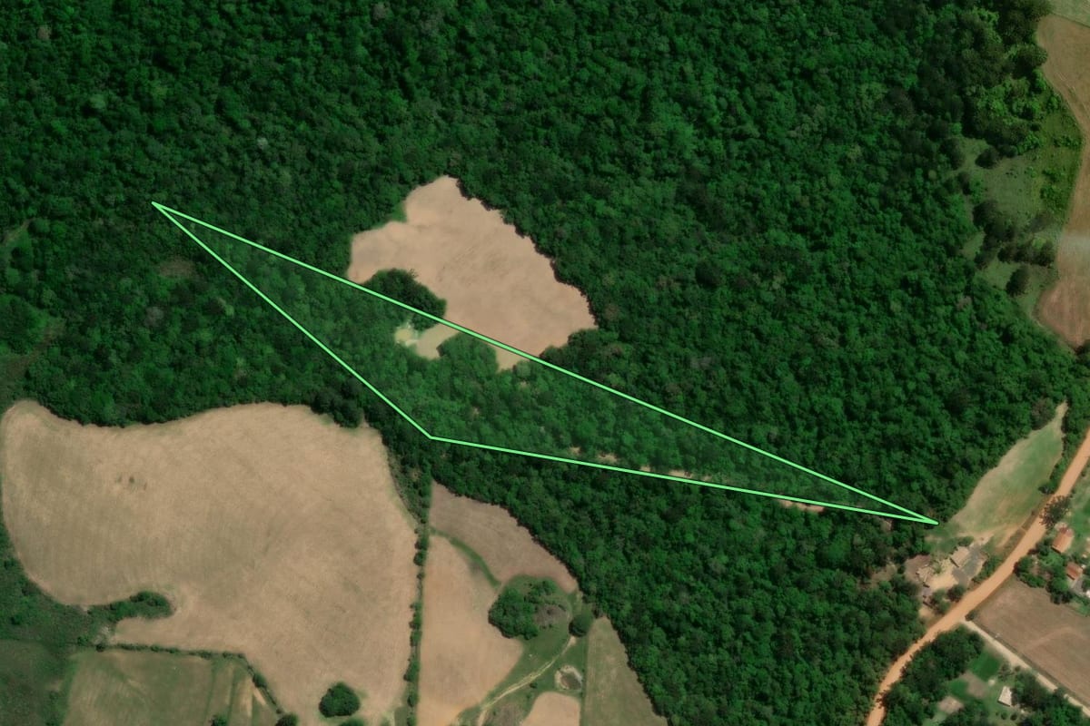 Imagem de satélite do imóvel rural em Palmeira (PR), com o contorno declarado no CAR desenhado por cima.