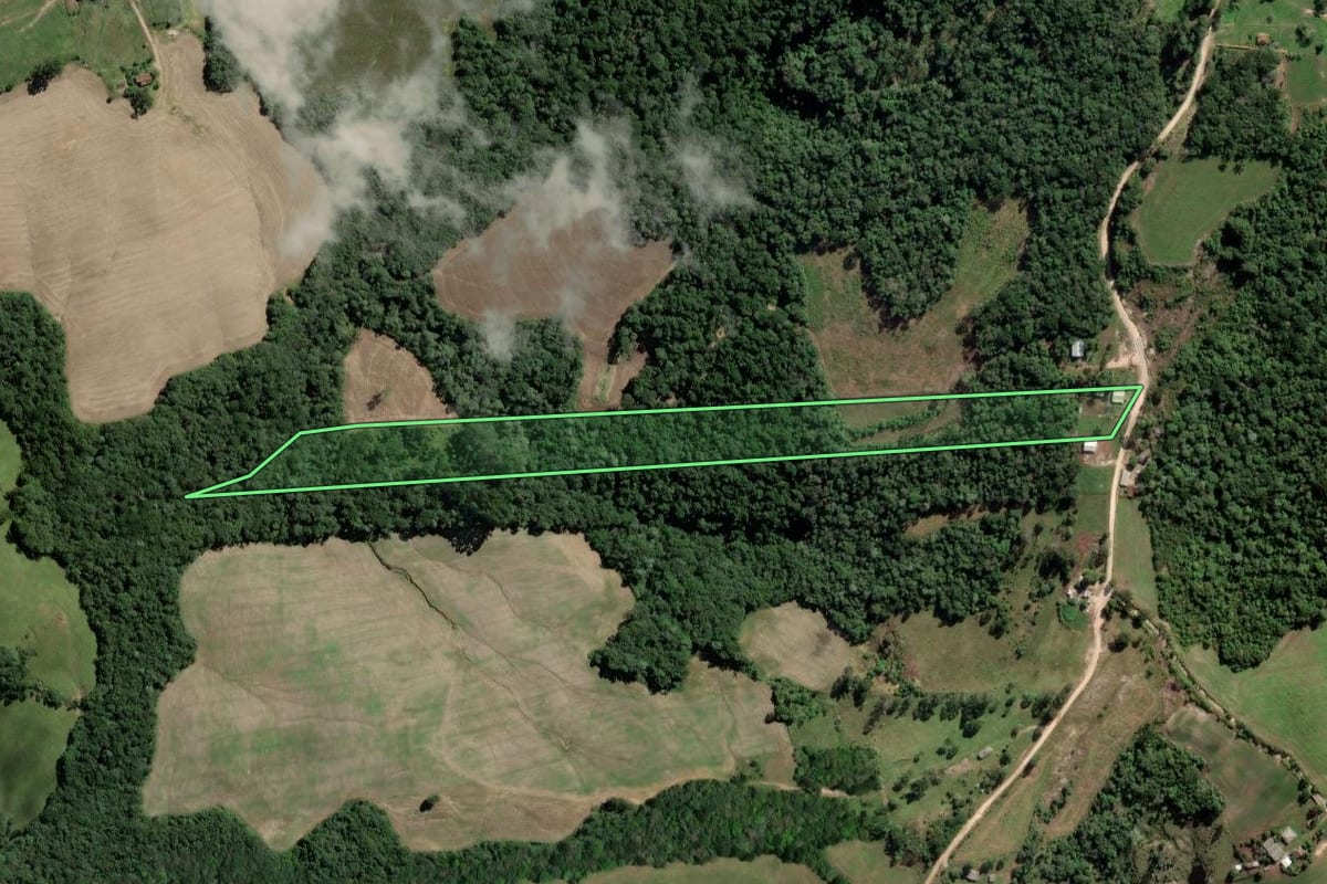 Imagem de satélite do imóvel rural em Palmeira (PR), com o contorno declarado no CAR desenhado por cima.