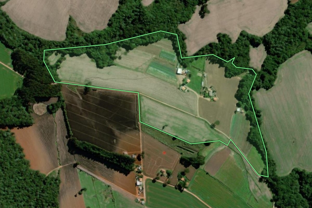 Imagem de satélite do imóvel rural em Palmeira (PR), com o contorno declarado no CAR desenhado por cima.