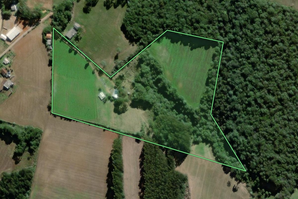 Imagem de satélite do imóvel rural em Palmeira (PR), com o contorno declarado no CAR desenhado por cima.