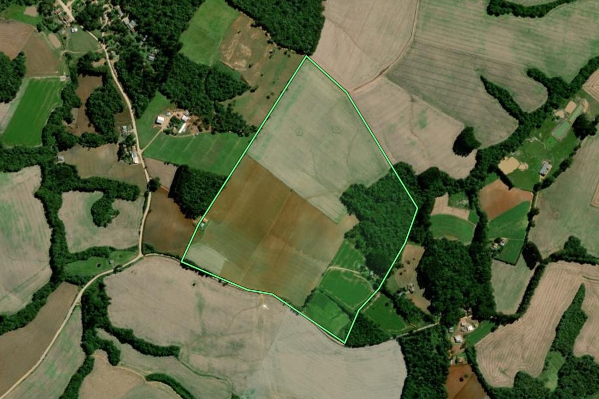 Imagem de satélite do imóvel rural em Palmeira (PR), com o contorno declarado no CAR desenhado por cima.