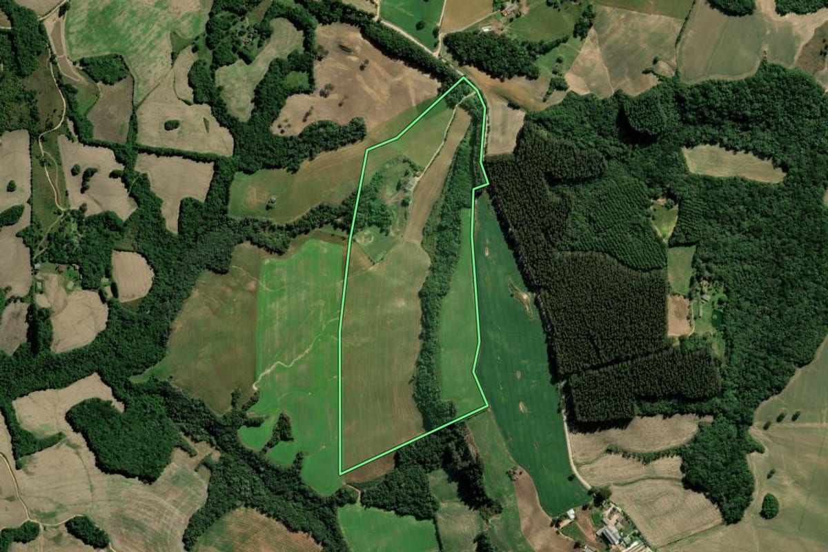 Imagem de satélite do imóvel rural em Palmeira (PR), com o contorno declarado no CAR desenhado por cima.