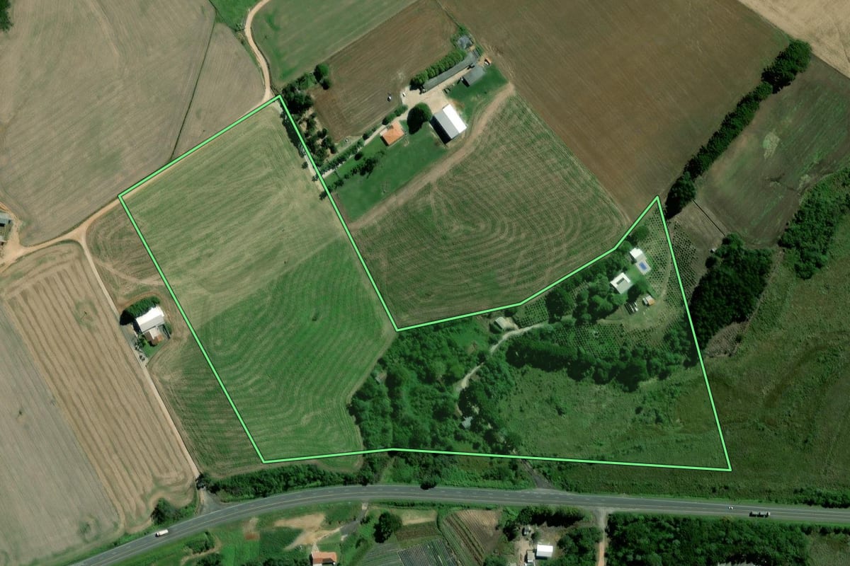 Imagem de satélite do imóvel rural em Palmeira (PR), com o contorno declarado no CAR desenhado por cima.