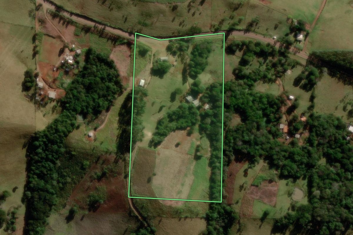 Imagem de satélite do imóvel rural em Palmital (PR), com o contorno declarado no CAR desenhado por cima.