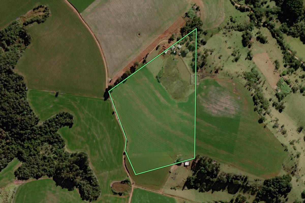 Imagem de satélite do imóvel rural em Palmital (PR), com o contorno declarado no CAR desenhado por cima.