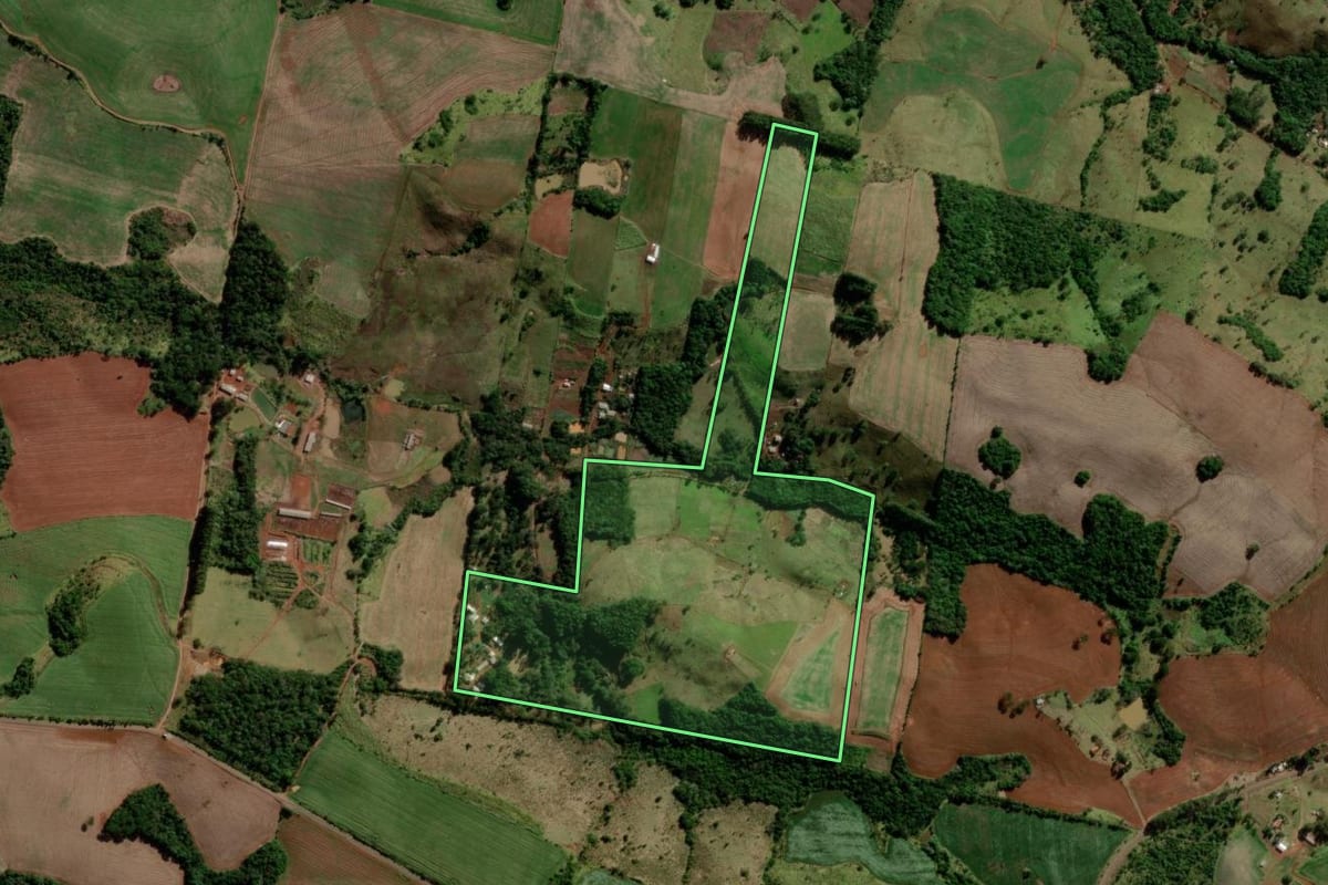 Imagem de satélite do imóvel rural em Palmital (PR), com o contorno declarado no CAR desenhado por cima.