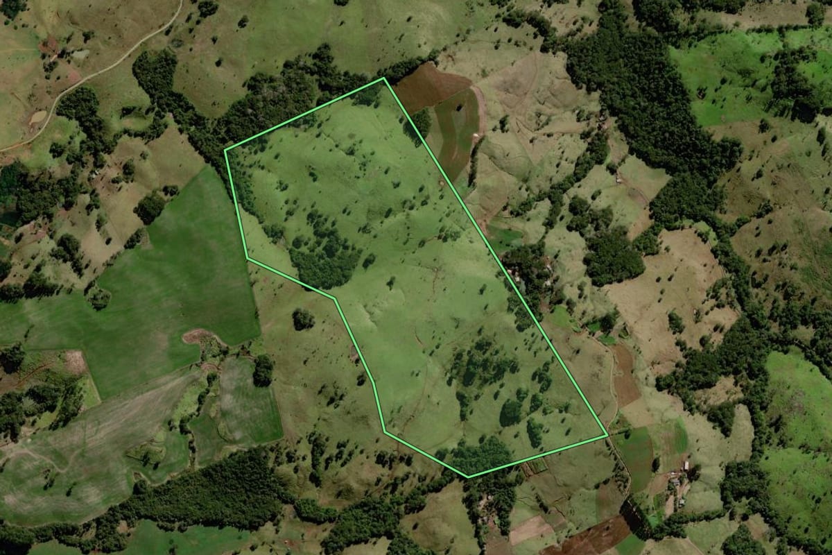 Imagem de satélite do imóvel rural em Palmital (PR), com o contorno declarado no CAR desenhado por cima.
