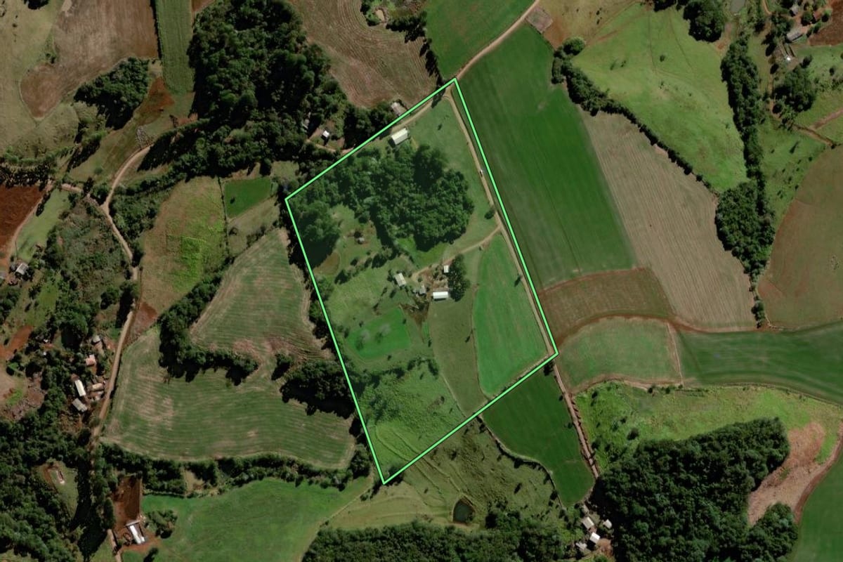 Imagem de satélite do imóvel rural em Palmital (PR), com o contorno declarado no CAR desenhado por cima.