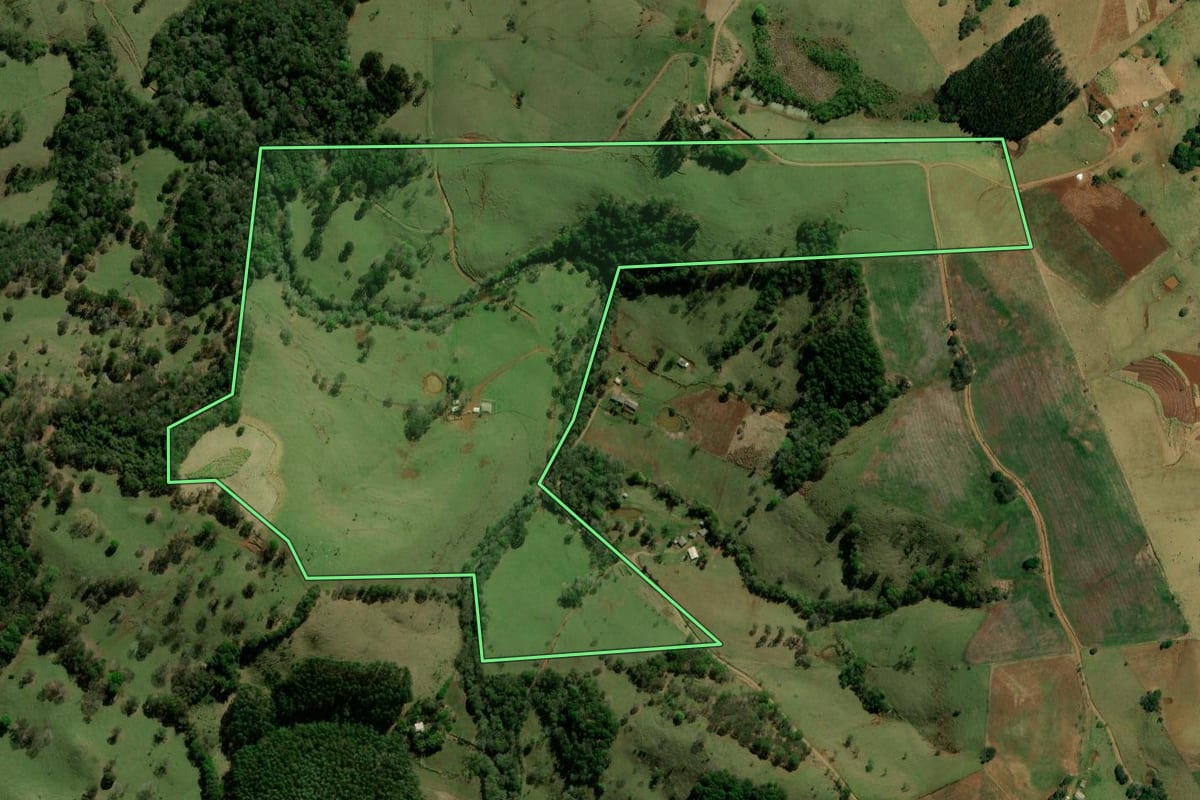 Imagem de satélite do imóvel rural em Palmital (PR), com o contorno declarado no CAR desenhado por cima.