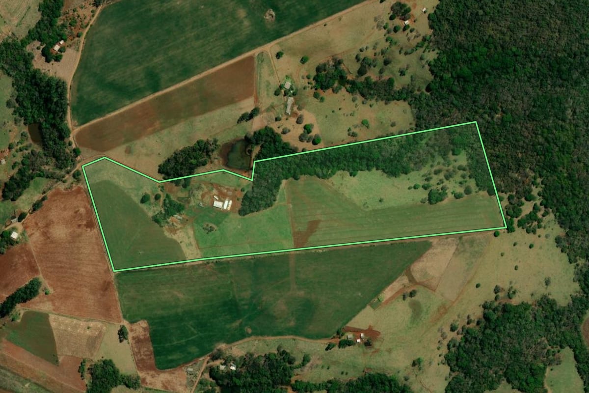 Imagem de satélite do imóvel rural em Palmital (PR), com o contorno declarado no CAR desenhado por cima.