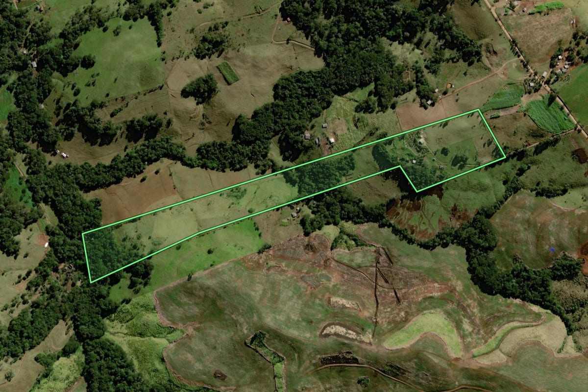 Imagem de satélite do imóvel rural em Palmital (PR), com o contorno declarado no CAR desenhado por cima.