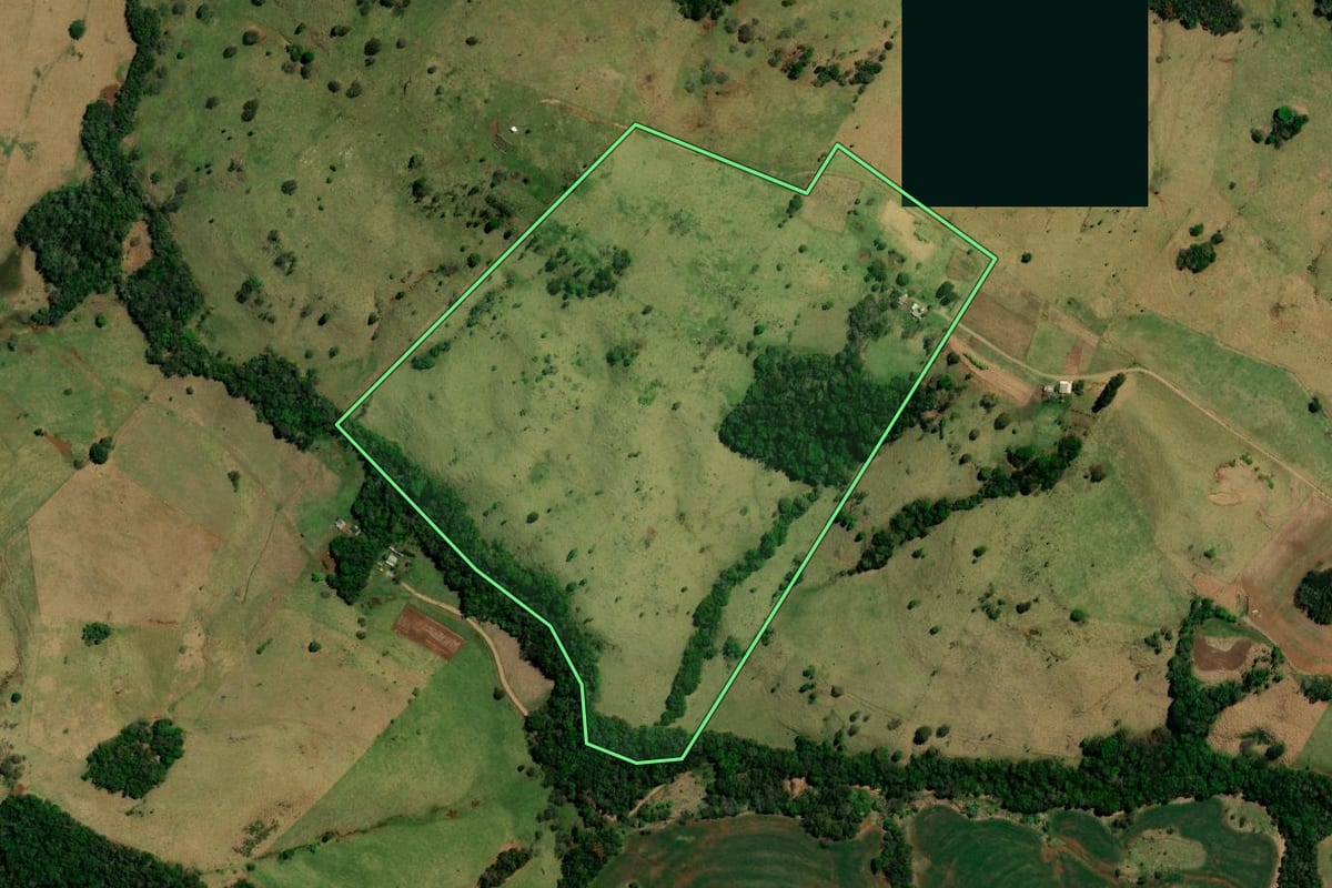 Imagem de satélite do imóvel rural em Palmital (PR), com o contorno declarado no CAR desenhado por cima.