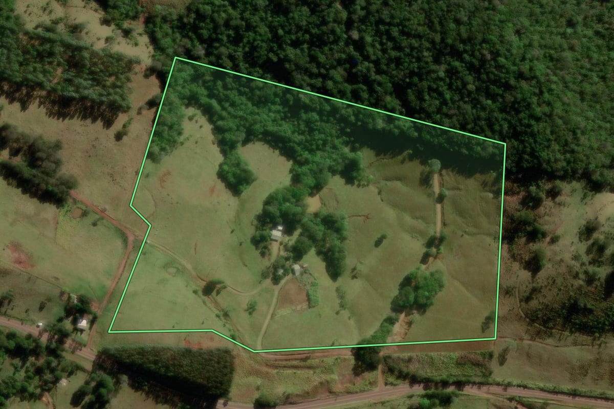 Imagem de satélite do imóvel rural em Palmital (PR), com o contorno declarado no CAR desenhado por cima.