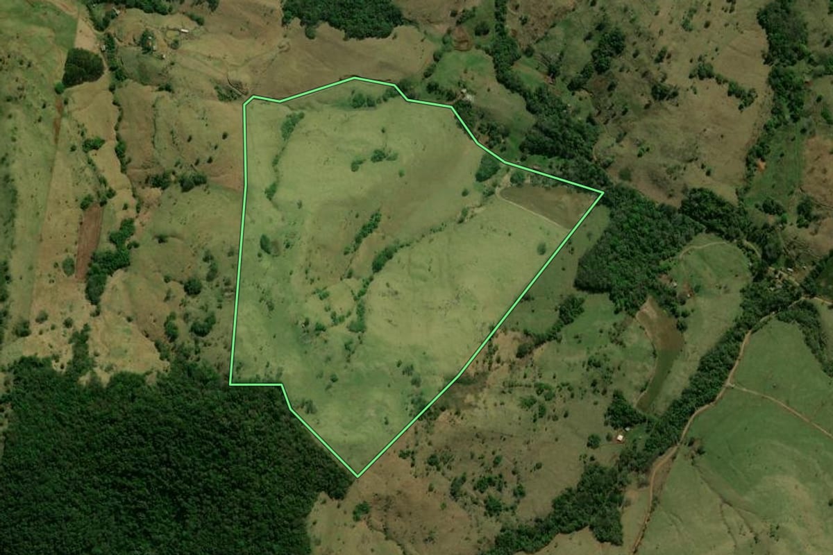 Imagem de satélite do imóvel rural em Palmital (PR), com o contorno declarado no CAR desenhado por cima.