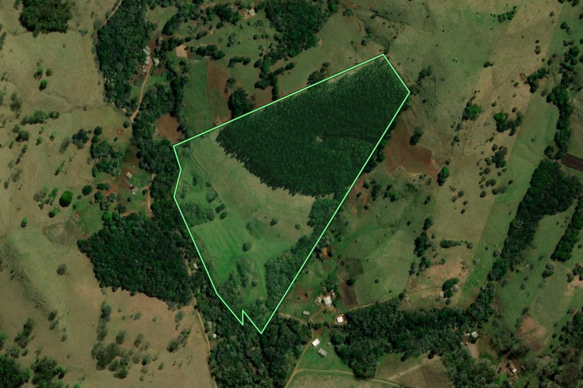Imagem de satélite do imóvel rural em Palmital (PR), com o contorno declarado no CAR desenhado por cima.