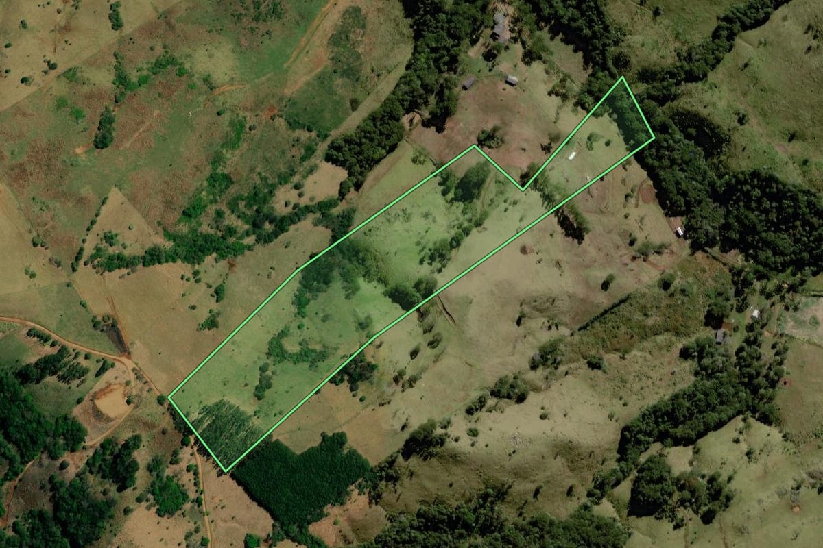 Imagem de satélite do imóvel rural em Palmital (PR), com o contorno declarado no CAR desenhado por cima.